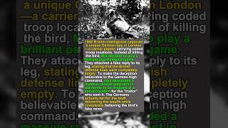 The Secret Bird Captured by Spies (1940) 🐦💰 #WWII #History #1940 #Spy #IconicTalesBR #shorts #viral