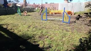 Toot 12 months old. Jaako, backside slice, lap turn