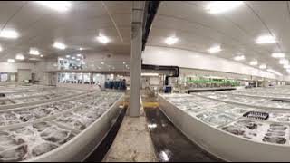 VID 2018 01 05 14 14 42 20180111125527 20180111130546