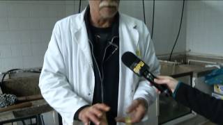 Infakt - 17042014 Riba Nije Skupa Ali Para Nema