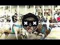 Banda Sela Rasgada - Filha Mais Nova Do patrão[Com Grave]#Forro