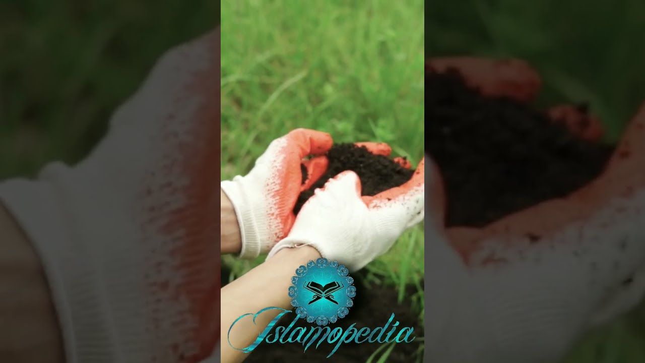 Planting Tree Is an Act of Charity | மரம் நடுவது தொண்டு செயல் | Islamopedia