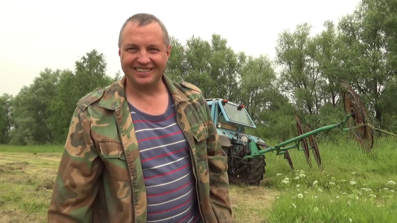 Ворошение травы граблями Солнышко или еще одна проверка сена. Деревенский сенокос.