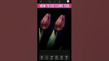 how to use clone tool  #shorts #youtubeshorts #shortsvideo #trendig #ytshort #trendingshorts #viral
