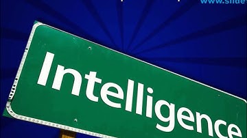 Intelligence Road Sign Metaphor PowerPoint Templates Themes And Backgrounds 0911