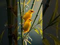 bird views# short #videos🦜
