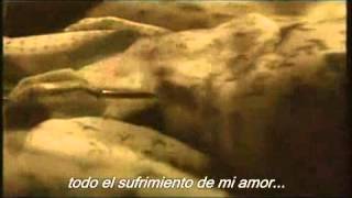 Versión 1 del video