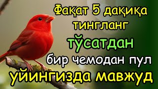 картинка: 🔴ИншоАллоҳ! Эндигина қўйганимда, Пул ростдан ҳам ўзи хонага келди ✅ Тез бойиш дуоси| Powerful Dua
