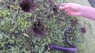 pinpointer gold hunter test su terra