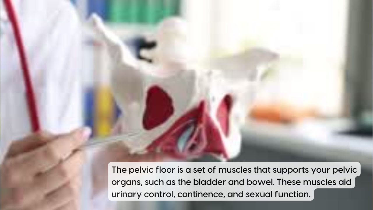 Pelvic Floor Physical Therapy for MS Bladder and Bowel Control