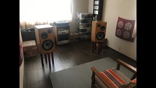 My listening room in the Japanese countryside #vinylcommunity #recordcollector #expatinjapan