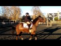 First Time Cantering