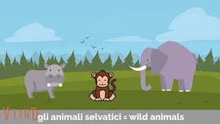 Ciao belli! Learning Italian is with videos. Lesson 16. Topic \