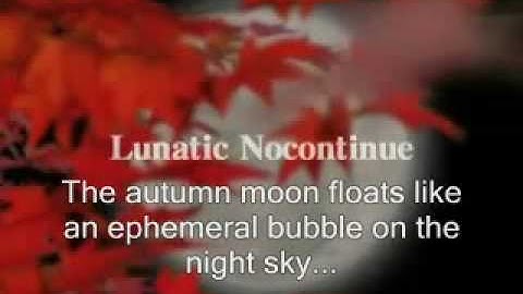 TЁЯRA - Mugen no hikari [fandub]