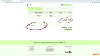 Placing an Medication Order
