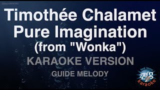 Timothée Chalamet-Pure Imagination (from "Wonka") (Melody) (Karaoke Version)