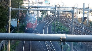 2019/11/01 【乗務員訓練】 DD51 895 王子駅 | JR East: Training by Diesel Locomotive at Oji