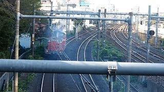2019/11/01 JR East: Training by DD51 895 at Oji