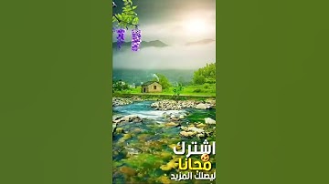 تلاوة هادئة  - {إن الله وملائكته يصلون على النبي---}