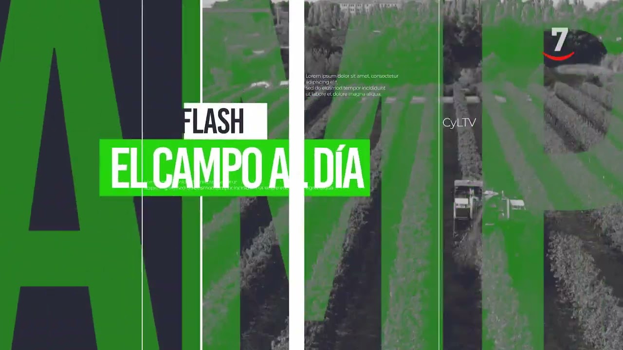 El campo al día (11/10/2024): Nueva protesta por la crisis del cereal