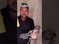 प्रेम होना भाग्य हैं पर बेजूबानो से होना सौभग्य है