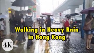 Walking in Heavy Rain in Hong Kong｜Lots of Thunder and Lightning in 4K｜ASMR Binaural.