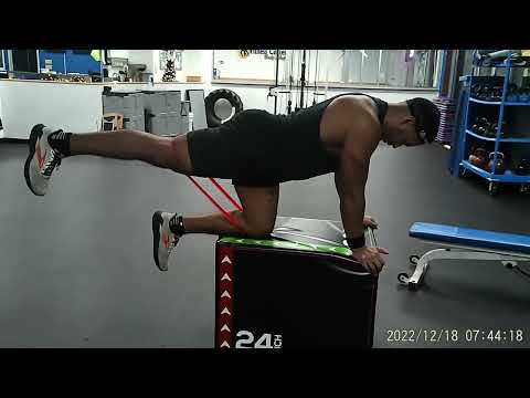 Mini Band Bench Glute Kickback