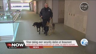 Titan taking over security duties at Beaumont Hospital