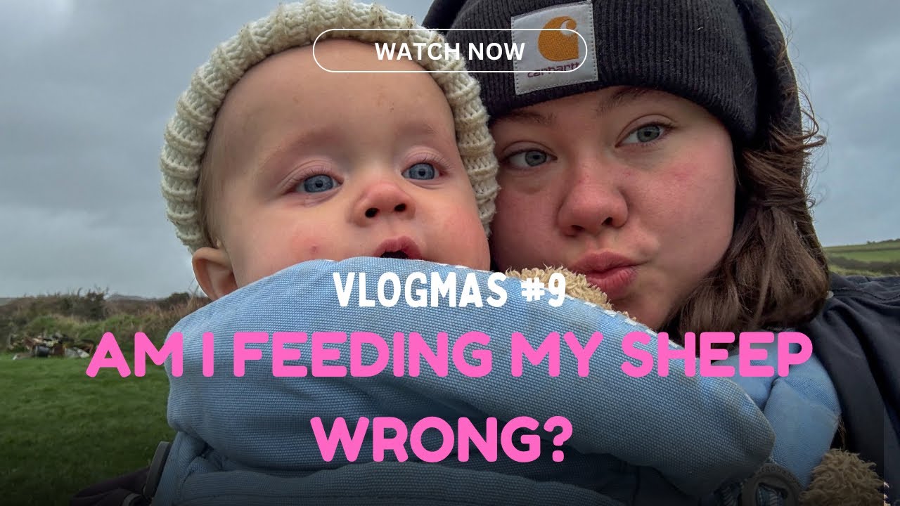 Дерево упало… и мои планы тоже рухнули 🌳😅 | VLOGMAS НА ФЕРМЕ, ДЕНЬ 9 | mariawarne1124