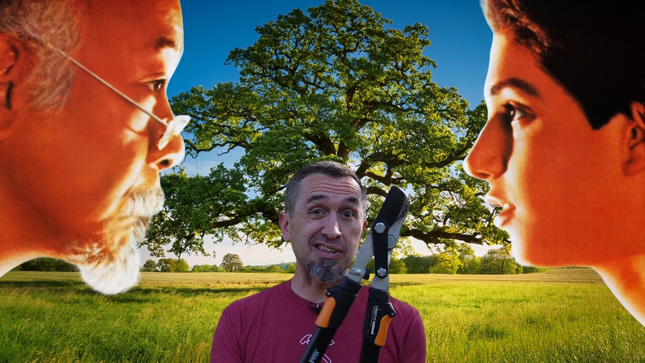 Wax On, Prune Off: Karate Kid's Tree Pruning Tips