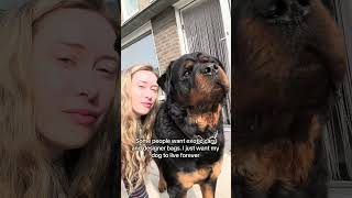 🩷🩷 #dogs #rottweiler #viral