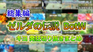 【作業用】キヨの ゼルダの伝説 ブレス オブ ザ ワイルド 発狂切り抜きまとめ【キヨ切り抜き】