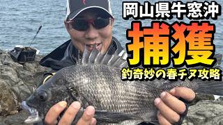 釣奇妙の春チヌ攻略！初めての磯で大型を捕獲 in 岡山県牛窓沖