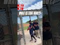 Are eyebrows facial hair? | Twins Spring Training 2022 #shorts