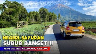 SUBUR BANGET !! SURGA SAYURAN DI DESA NEPAL VAN JAVA DI GUNUNG SUMBING - Cerita Desa Butuh, Magelang