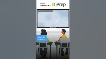 Types Of Neurons And It