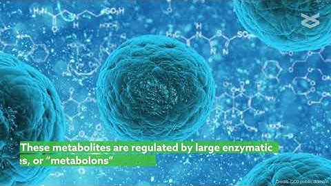 Unstructured regions of large enzymatic complexes control the availability of metabolites
