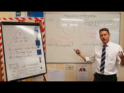 AQA GCSE Biology B1.1 Microscopes, magnification and resolution