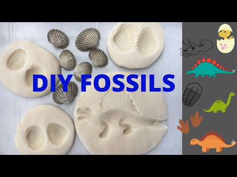 DIY FOSSILS | FOSSILS ACTIVITY FOR KIDS | HOW TO MAKE DINOSAUR FOSSILS | SALT DOUGH FOSSILS |