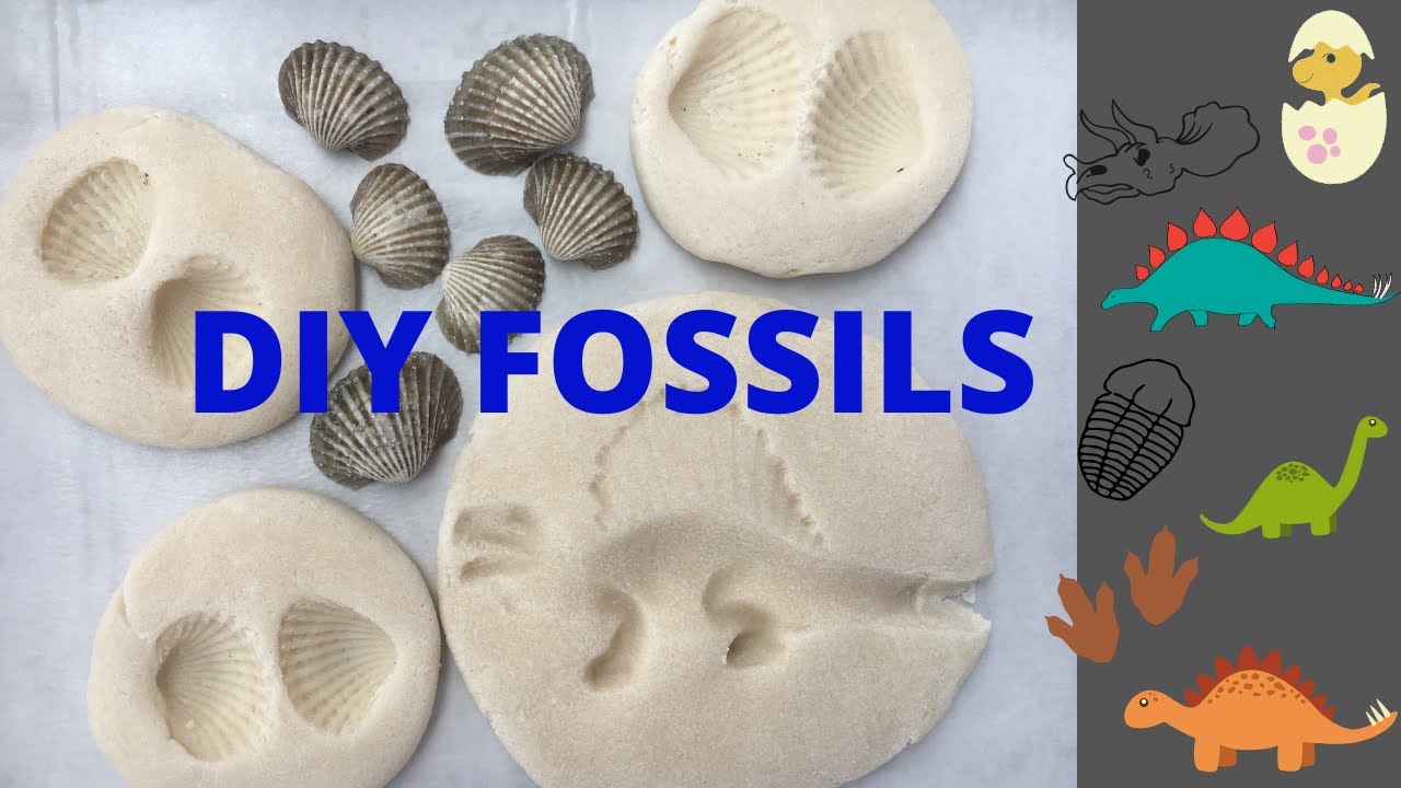 Diy Fossils | Fossils Activity For Kids | How To Make Dinosaur Fossils | Salt Dough Fossils |