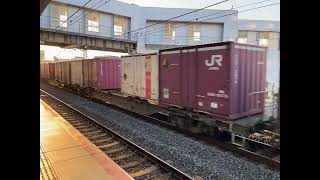 5069レ2026/5/14/EF210-131