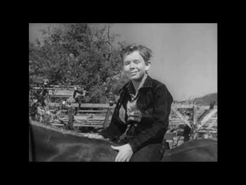 Champion The Wonder Horse Theme Tune (The Adventures of Champion) - BBC1