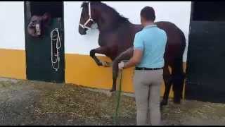 VID 20140825 WA0033