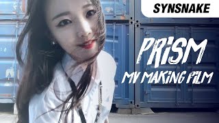 Synsnake - Prism [MV making film]