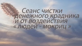 Сеанс чистки денежного крадника, или от воздействия  &quot; Людей-мокриц&quot;