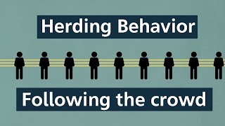 Herding Behavior: How following the crowd leads us astray