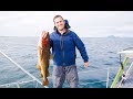 This BIG CATCH in just 90 SECONDS!!  -  Sailing Norway (MJ Sailing - Ep 128)