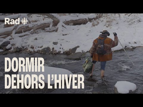 Vidéo: Les lanternes peuvent-elles survivre à l'hiver ?