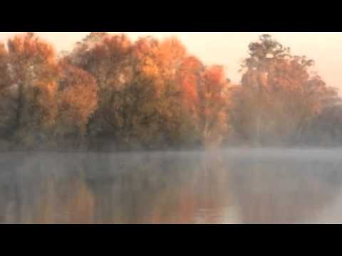 Wedding Music - Ombra Mai Fu / Largo from Handel's Xerxes, Clarinet and Organ. (Wedding Music)