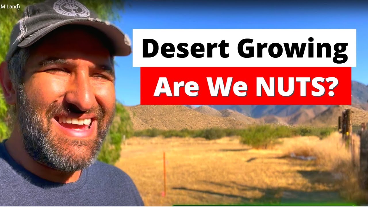 Visit our NEW Desert Garden and Homestead! Our First Steps on This
